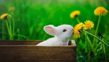 昆明台记者采访遭粗暴阻挠，正当采访权利不容践踏