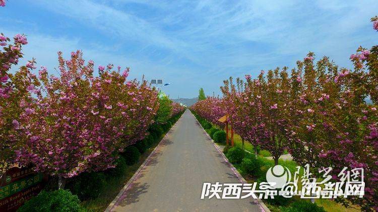 构建大交通格局，与世界相“交”，与时代相“通”