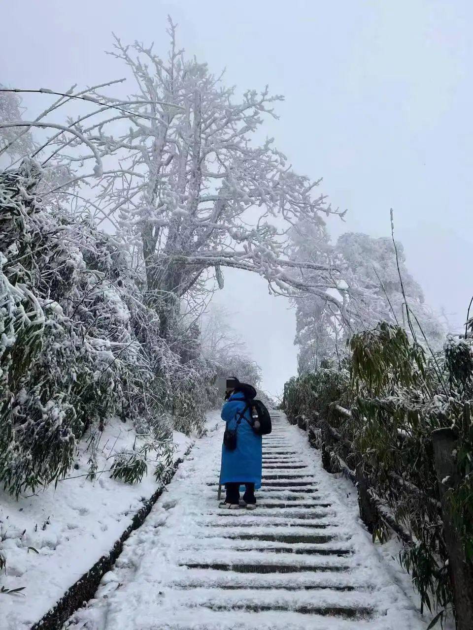 23岁西安女孩峨眉山旅游失联40多天后，遗体在山崖下找到 母亲：暂不知坠崖原因