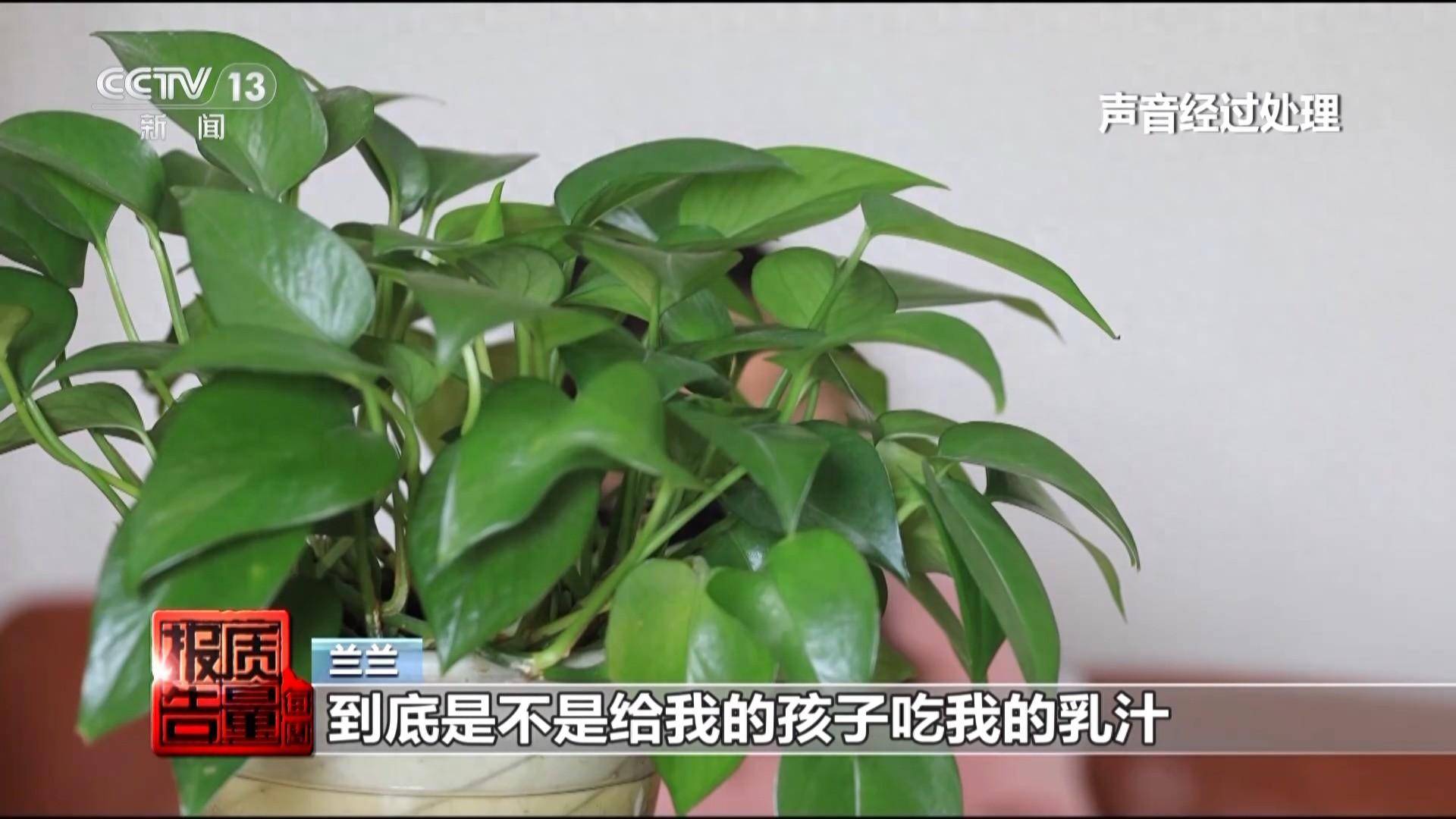 女子丰胸检出骆驼等动物源性成分