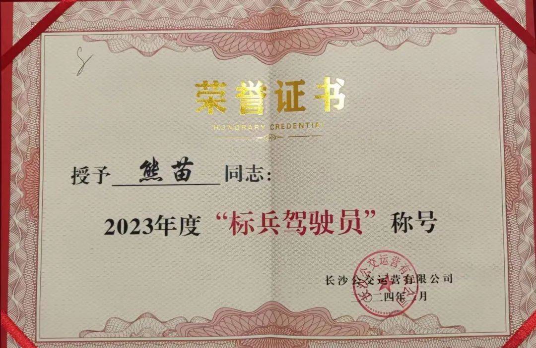 事发长沙橘子洲大桥，公交司机突然靠边停车！