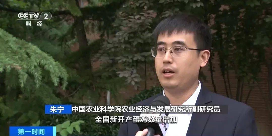 惊了！跌至3.6元一斤！还会继续降下去吗？