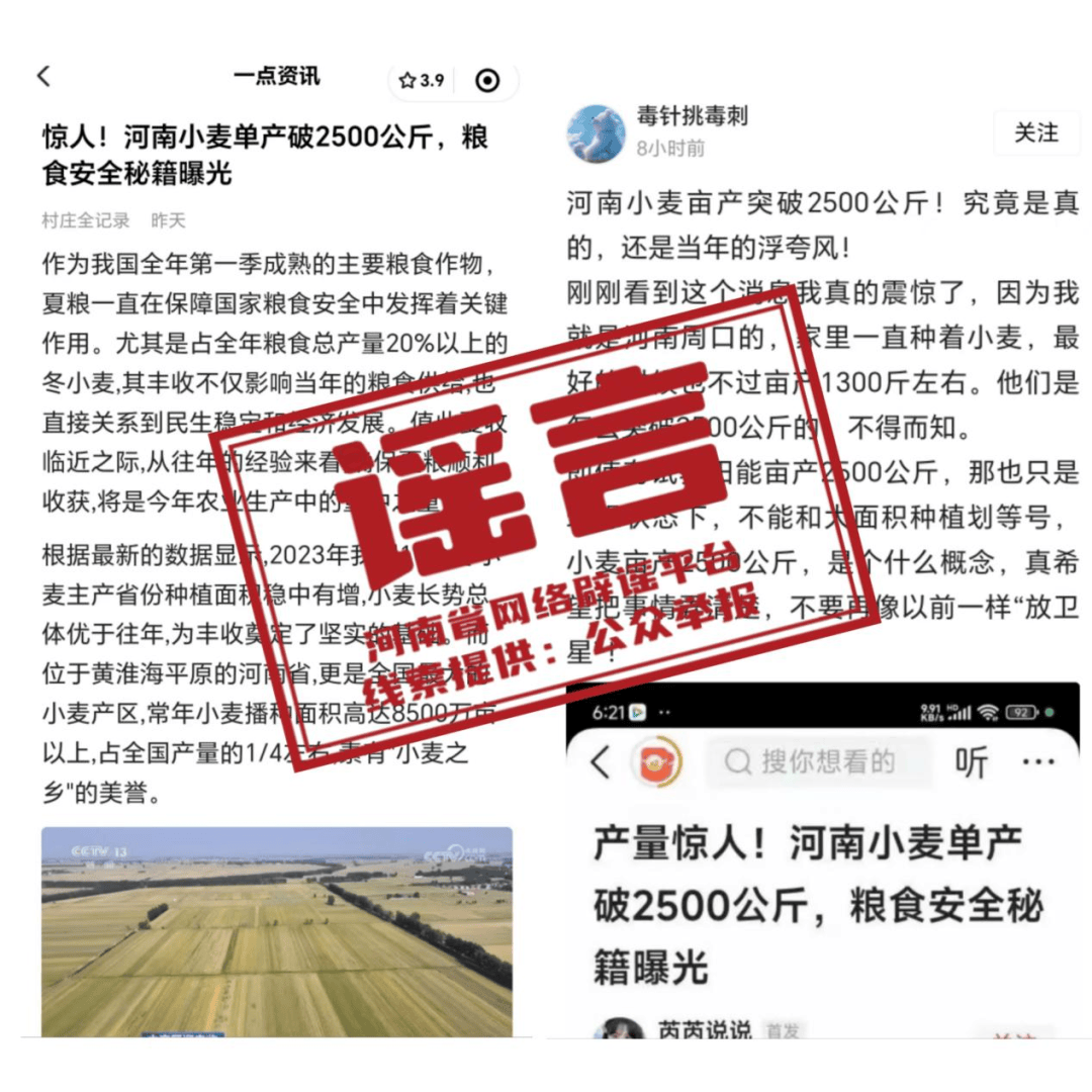 河南小麦单产破2500公斤？官方辟谣