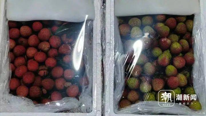 10块3斤“妃子笑”要来了：荔枝减产，价格反而一蹶不振？