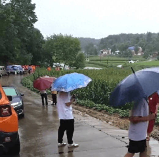 湖北随州一车辆过桥时被水冲走，多部门处置！当地：正救援，失联人数待核实