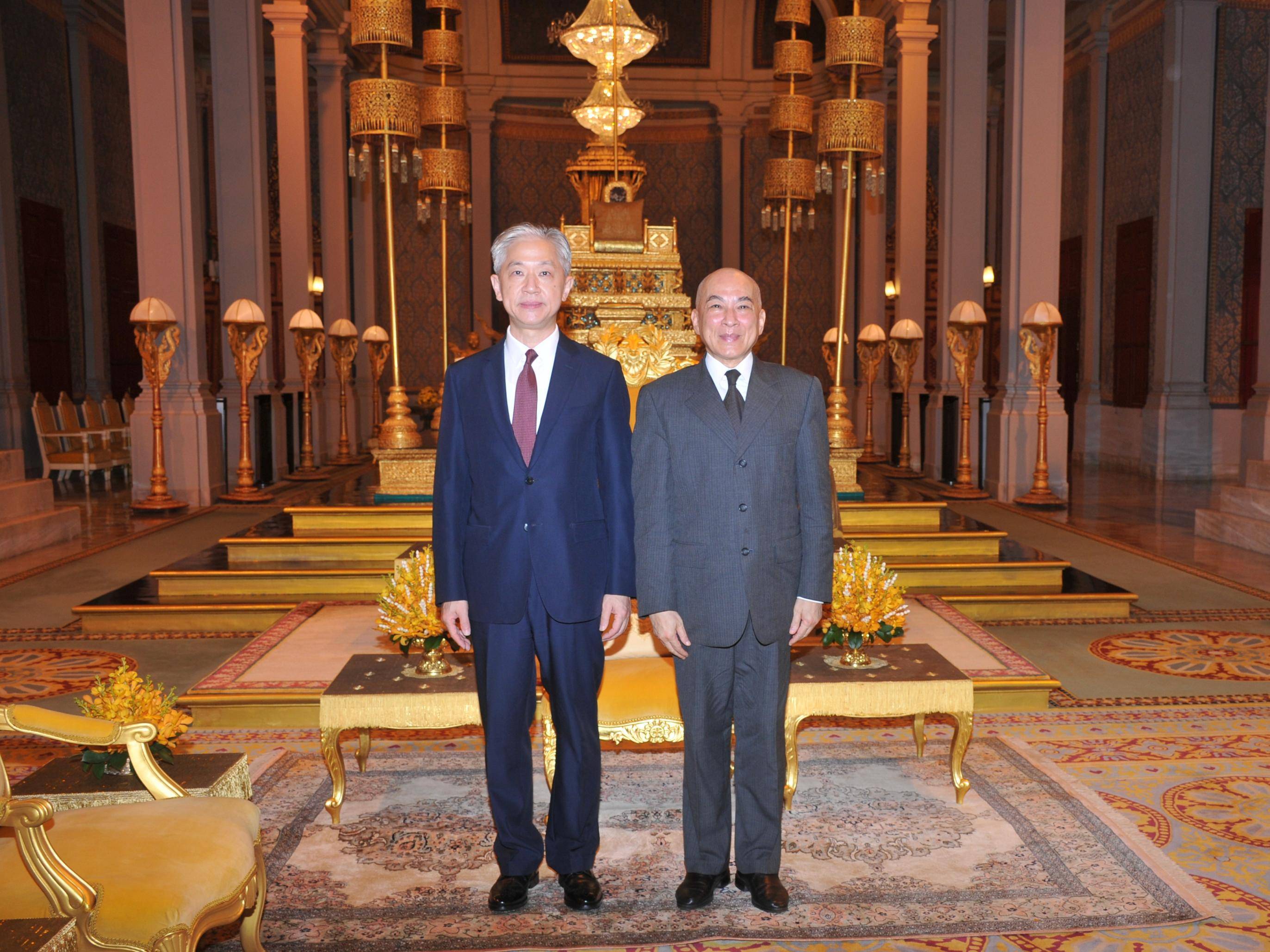 新任驻柬埔寨大使汪文斌向柬国王西哈莫尼递交国书
