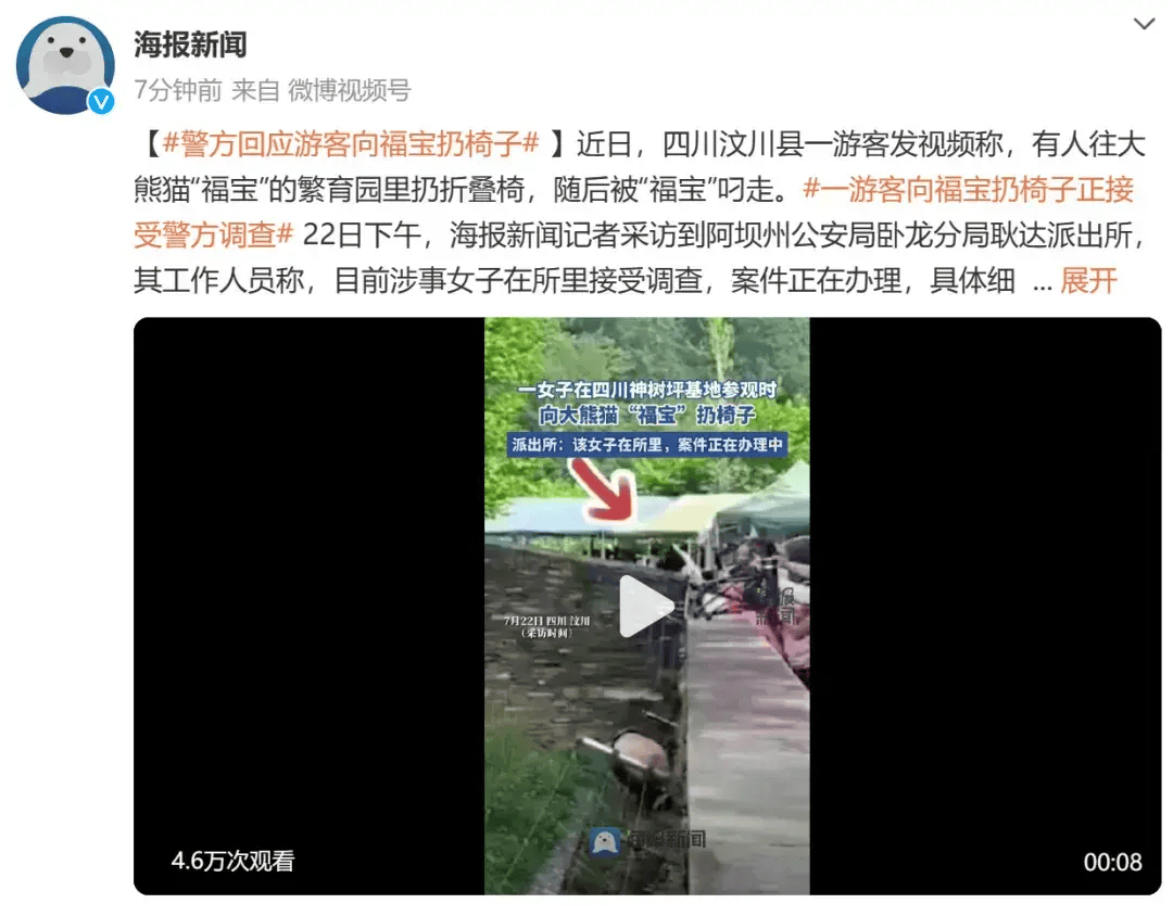 “携带的折叠凳掉入福宝活动场”，刘某某终身禁入