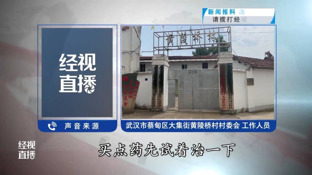当心！武汉一村子里出现大量入侵物种！对人有攻击性，严重会致人休克！专家提醒
