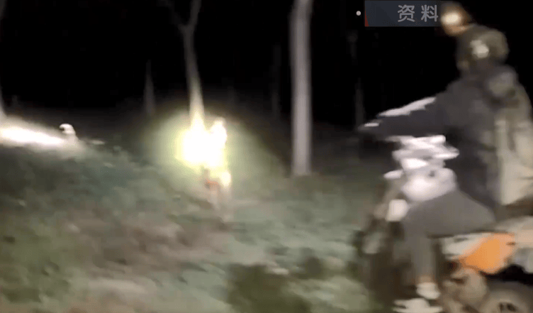 太残忍！通州这里惊现一群“猎人”：夜间放狗追捕动物，还拍视频炫耀？公诉！