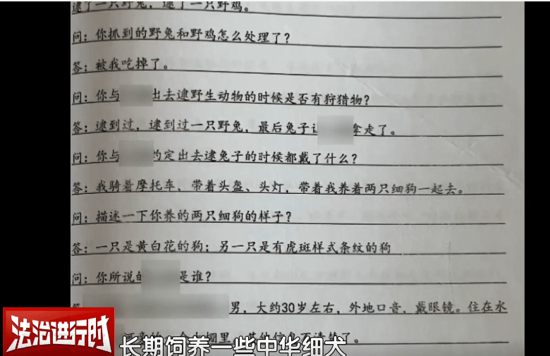 太残忍！通州这里惊现一群“猎人”：夜间放狗追捕动物，还拍视频炫耀？公诉！