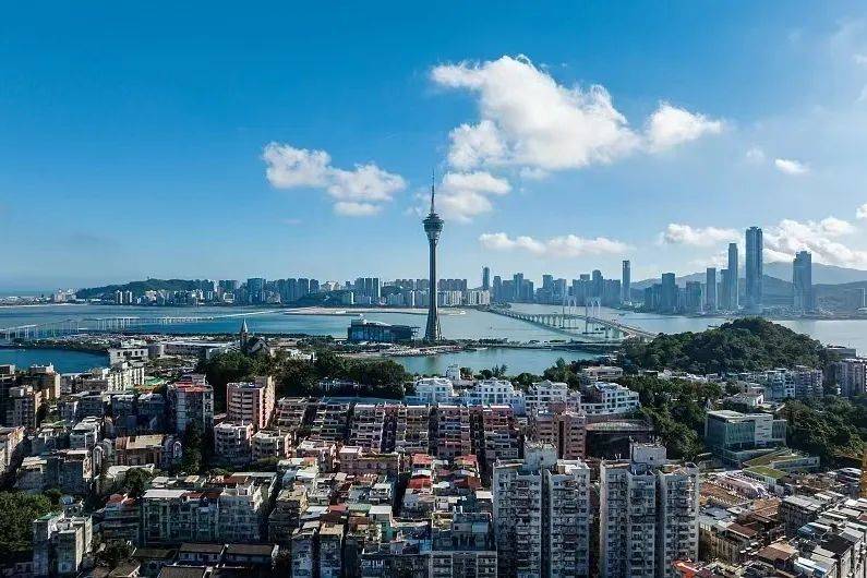 潘展乐回击澳大利亚教练！“他最好多说几次”【看世界·新闻早知道】