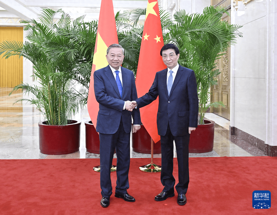 王沪宁会见越共中央总书记、国家主席苏林