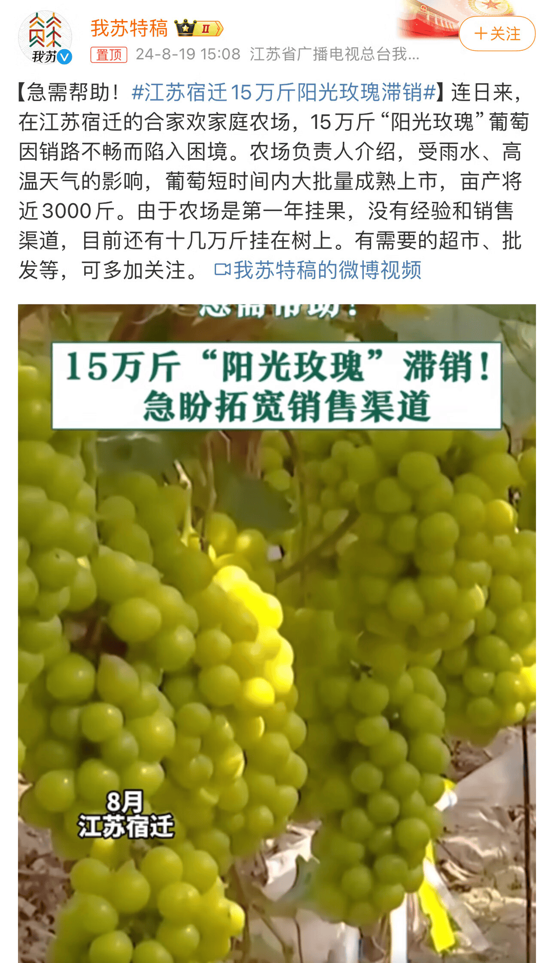 江苏15万斤“阳光玫瑰”葡萄滞销，京东产地直采快速解农户燃眉之急
