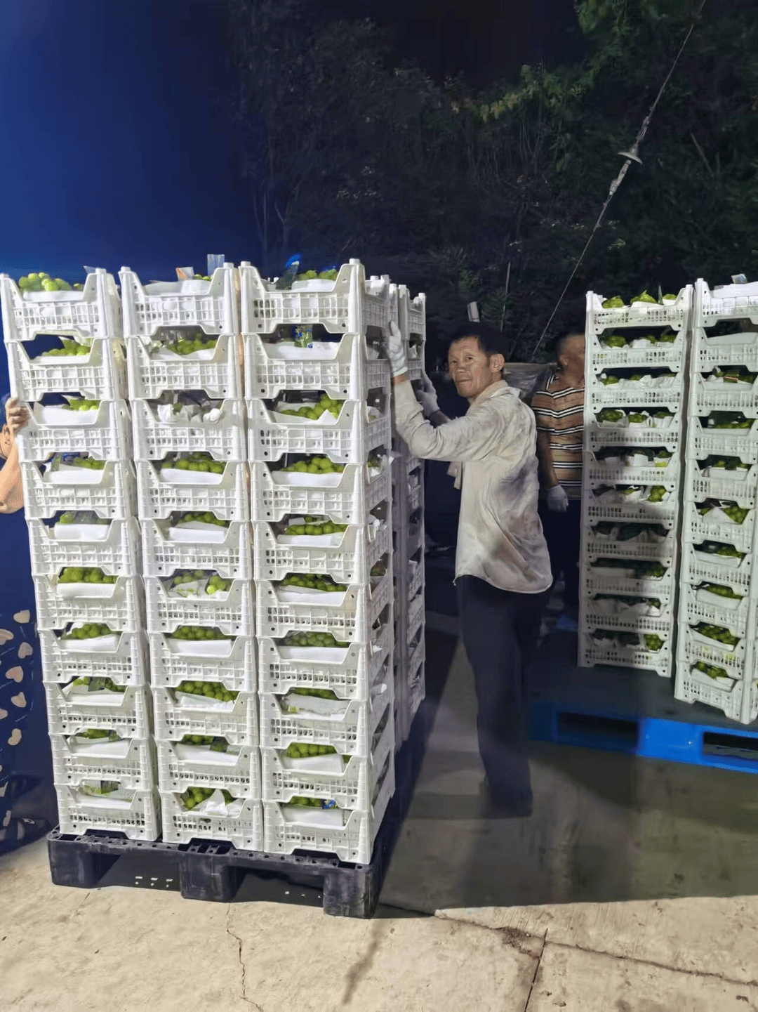 江苏15万斤“阳光玫瑰”葡萄滞销，京东产地直采快速解农户燃眉之急