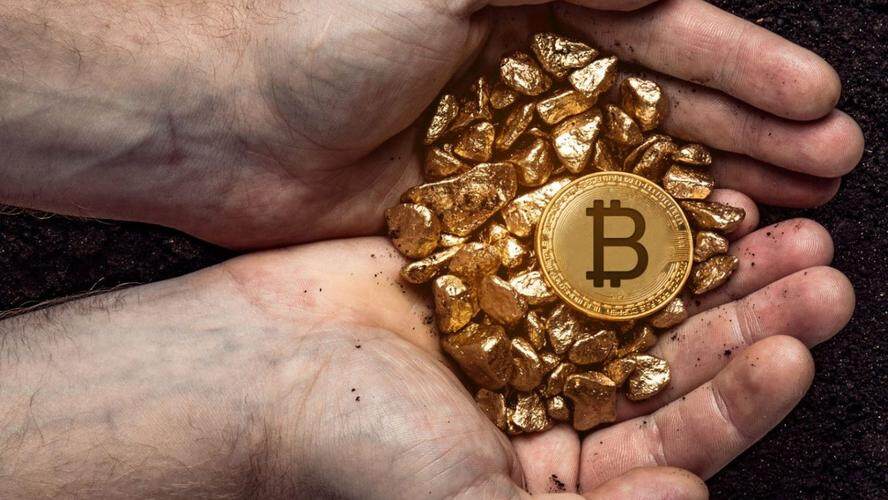 维特币(维特币今日行情)