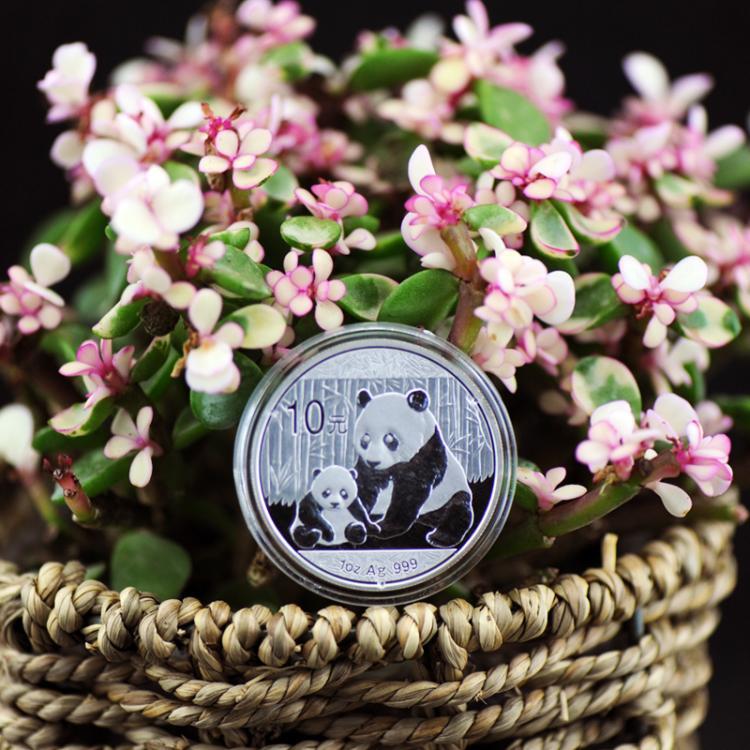 龙猫币(龙猫币最新价格)