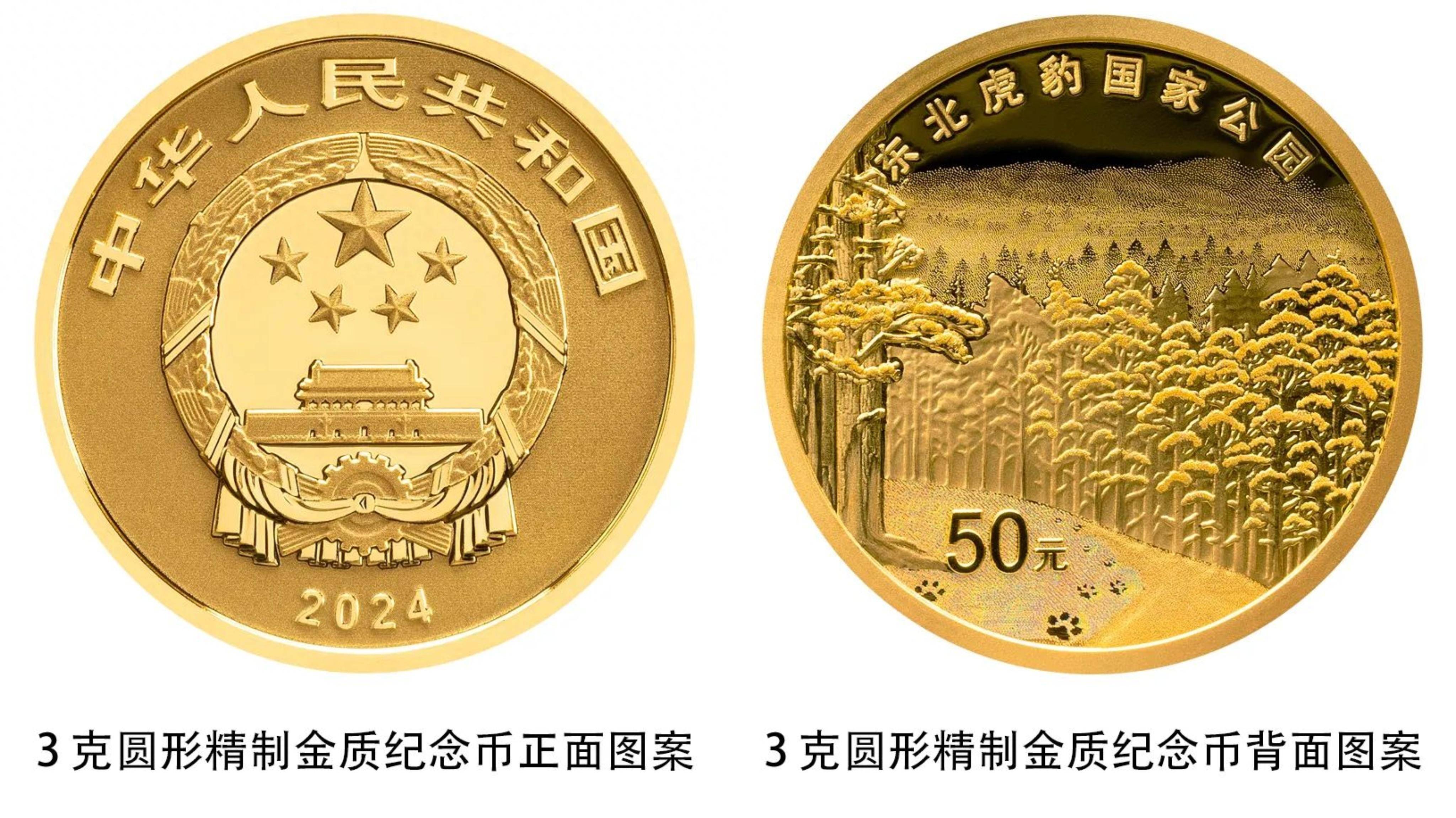 老虎币(老虎刺树图片及药用功效)